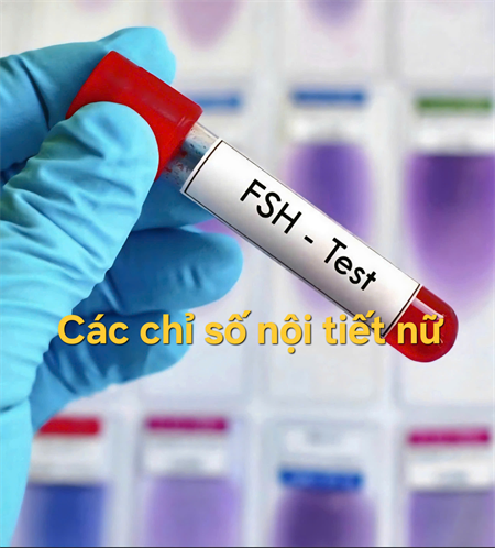 Các chỉ số nội tiết tố nữ