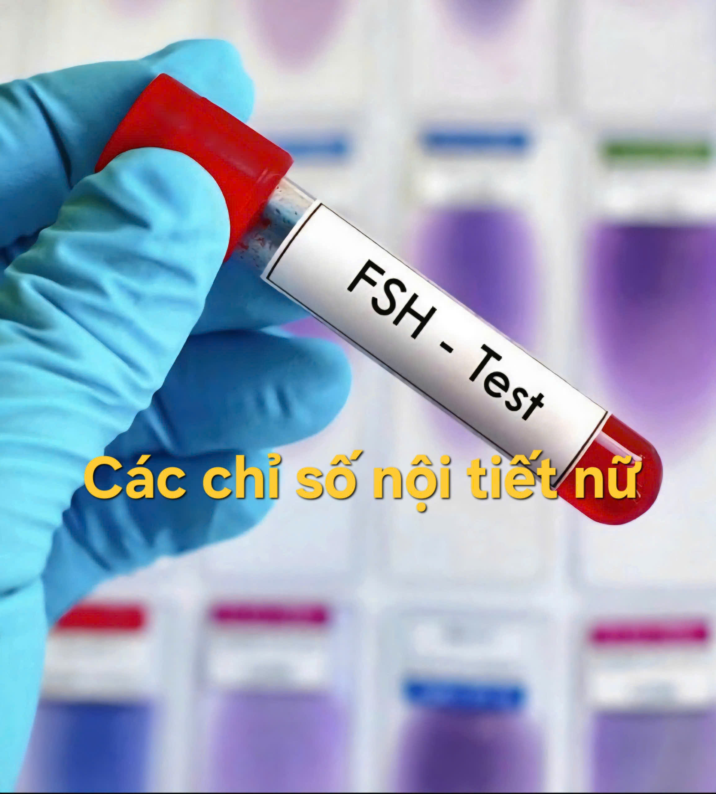 Các chỉ số nội tiết tố nữ